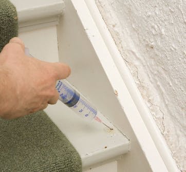 Avoportaat narisee Avoportaat narisee